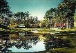 Redbud, 16Th Hole At Augusta by Kenneth Reed Limited Edition Pricing Art Print