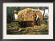 Barnyard by Childe Hassam Limited Edition Print