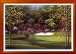 Augusta-13Th Azalea by Joe Sambataro Limited Edition Pricing Art Print