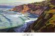 Palos Verdes Cove by John Comer Limited Edition Pricing Art Print