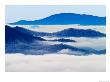 Deep Creek Valley, Great Smoky Mountains National Park, North Carolina, Usa by Adam Jones Limited Edition Pricing Art Print