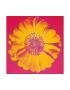 Flower For Tacoma Dome, C. 1982 (Pink & Yellow) by Andy Warhol Limited Edition Pricing Art Print