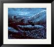 Narwhales by Bruce Muir Limited Edition Print