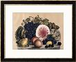 Autumn Fruit by Currier & Ives Limited Edition Pricing Art Print