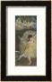 Dancing Girl, Fin D'arabesque, 1877 by Edgar Degas Limited Edition Print