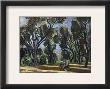 Artist In The Olive Grove by Henri Matisse Limited Edition Pricing Art Print