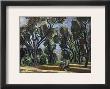 Artist In The Olive Grove by Henri Matisse Limited Edition Print