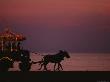 A Horse-Drawn Carriage Rolls Along Jeddahs Waterfront At Sunset by Reza Limited Edition Print