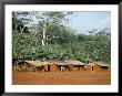Village In The Jungle, Northern Area, Congo, Africa by David Poole Limited Edition Pricing Art Print