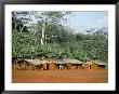 Village In The Jungle, Northern Area, Congo, Africa by David Poole Limited Edition Print