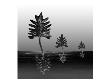 Forest Iii by Miguel Paredes Limited Edition Pricing Art Print