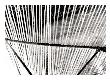 Bamboo Leaves Ii by Miguel Paredes Limited Edition Pricing Art Print