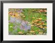 Water Lily Pond At Giverny by Claude Monet Limited Edition Print