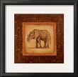 African Wildlife Ii by Debra Swartzendruber Limited Edition Pricing Art Print