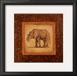 African Wildlife Ii by Debra Swartzendruber Limited Edition Print