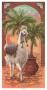 White Llama I by Janet Kruskamp Limited Edition Pricing Art Print