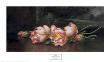 Lotus Flowers by Martin Johnson Heade Limited Edition Print