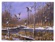 Backwater by Michael Bargelski Limited Edition Print