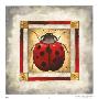 Ladybug by Mary Beth Zeitz Limited Edition Pricing Art Print