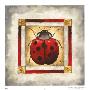 Ladybug by Mary Beth Zeitz Limited Edition Print