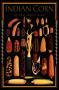 Indian Corn Of The Americas-Blk by Mark Miller Limited Edition Pricing Art Print
