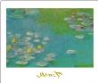 Nymphaeas 1908 by Claude Monet Limited Edition Print