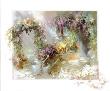 Morning Dawn by Willem Haenraets Limited Edition Print