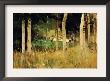 The Cottage Amongs The Birch Trees by Berthe Morisot Limited Edition Print