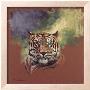 Cinquenta, Tigre Real by Stan Kaminski Limited Edition Print