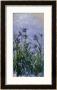 Iris Mauves, 1914-1917 by Claude Monet Limited Edition Print