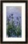 Iris Mauves, 1914-1917 by Claude Monet Limited Edition Pricing Art Print