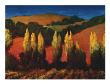 Poplar Trees Sonoma by Philip Craig Limited Edition Print