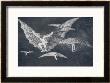 Modo De Volar by Francisco De Goya Limited Edition Pricing Art Print