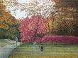 Park, Two Children With A Dog by Harold Altman Limited Edition Pricing Art Print