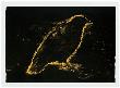 Raven, Sun?S Night Glow (40) by Jim Dine Limited Edition Print