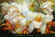 Orchid Fandango by Elizabeth Horning Limited Edition Print