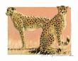 Serengeti Cheetahs by Gary Mansanarez Limited Edition Pricing Art Print