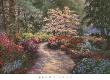 Azalea Glade by Barbara Hails Limited Edition Pricing Art Print