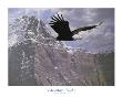 Mountain Flight by Ron Parker Limited Edition Print