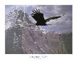 Mountain Flight by Ron Parker Limited Edition Pricing Art Print