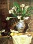 Still Life With Calla Lilies by Barbara Shipman Limited Edition Print