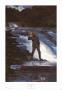 Fishing The Falls by Winslow Homer Limited Edition Pricing Art Print