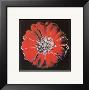Flower For Tacoma Dome, C. 1982 (Black & Red) by Andy Warhol Limited Edition Print