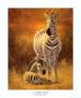 New Day by Lucie Bilodeau Limited Edition Print