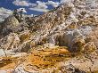 Travertine Terraces At Mammoth Hot Springs, Yellowstone National Park, Wyoming, Usa by Adam Jones Limited Edition Print