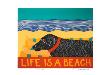Life Is A Beach by Stephen Huneck Limited Edition Pricing Art Print