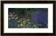 Waterlilies (Les Nympheas), Study Of The Morning Water by Claude Monet Limited Edition Print