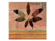 Iris Iii by Miguel Paredes Limited Edition Print