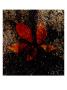 Red Leaves Iii by Miguel Paredes Limited Edition Pricing Art Print