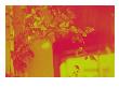 Abstract Flowers X by Miguel Paredes Limited Edition Print